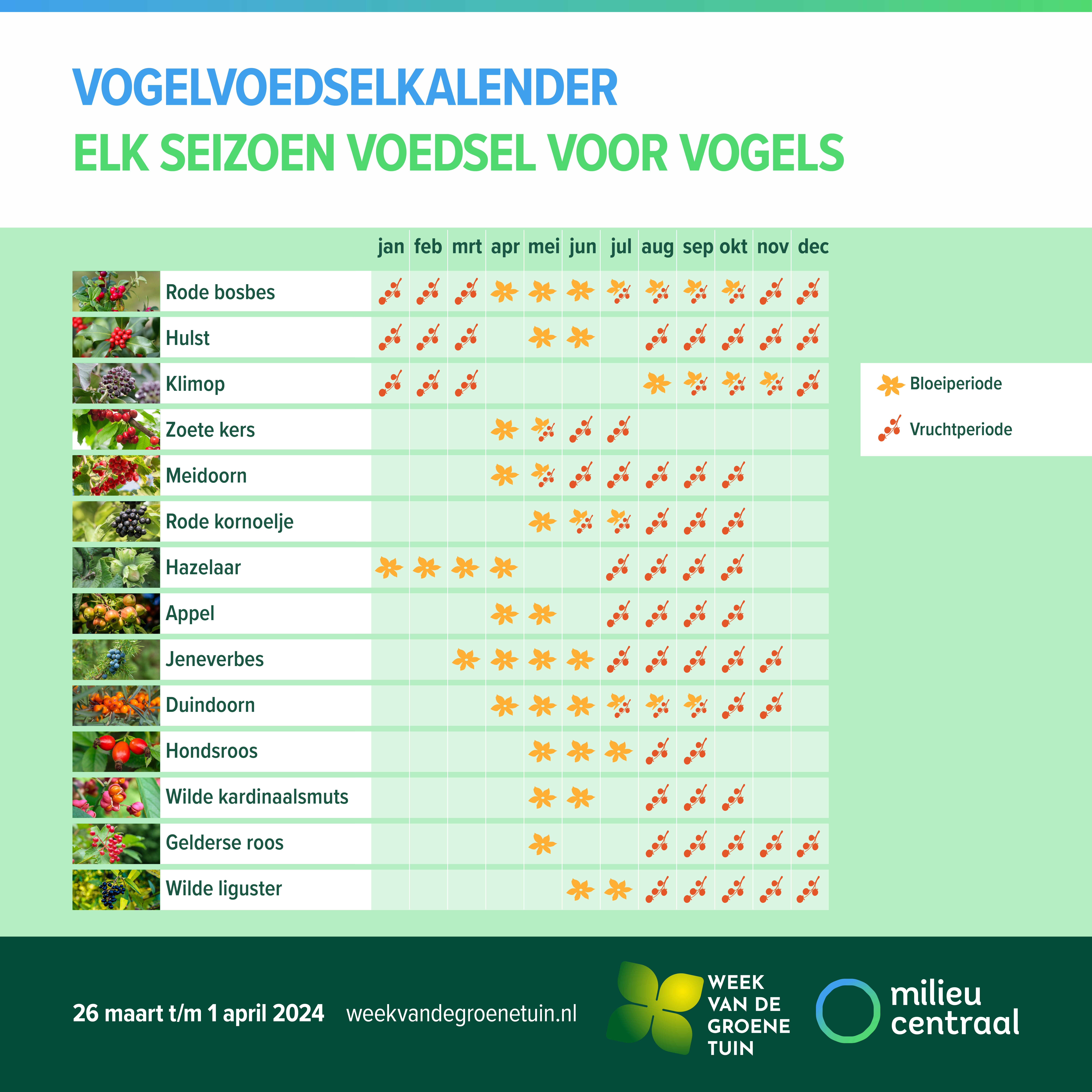 Vogelvoedselkalender Milieu Centraal