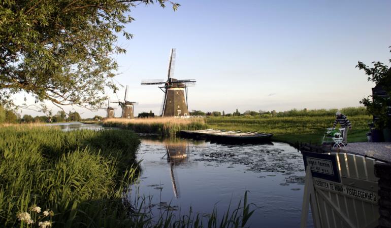 Zicht vanaf een slootje op de molens in Kinderdijk op de achtergrond