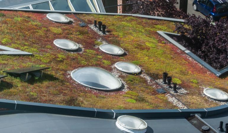 Groen dak van een huis met zonnepanelen in Enschede