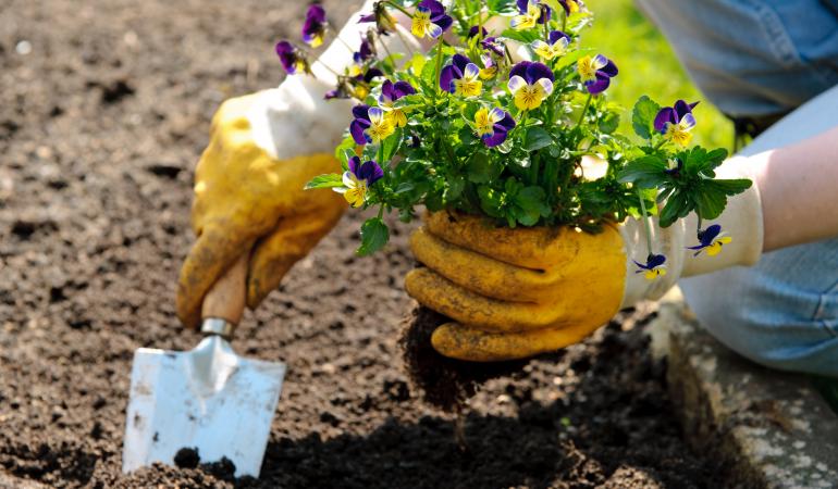 Plantje planten met schepje