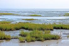 Overstroom gebied tussen zee en duin. Waddenzee op achtergrond