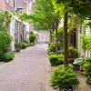 Straat in Haarlem Smalle straat in Haarlem met woningen en een smal pad in het midden met heel veel groen