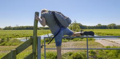 Een vrouw met wandelschoenen aan klimt over een hek in een weiland